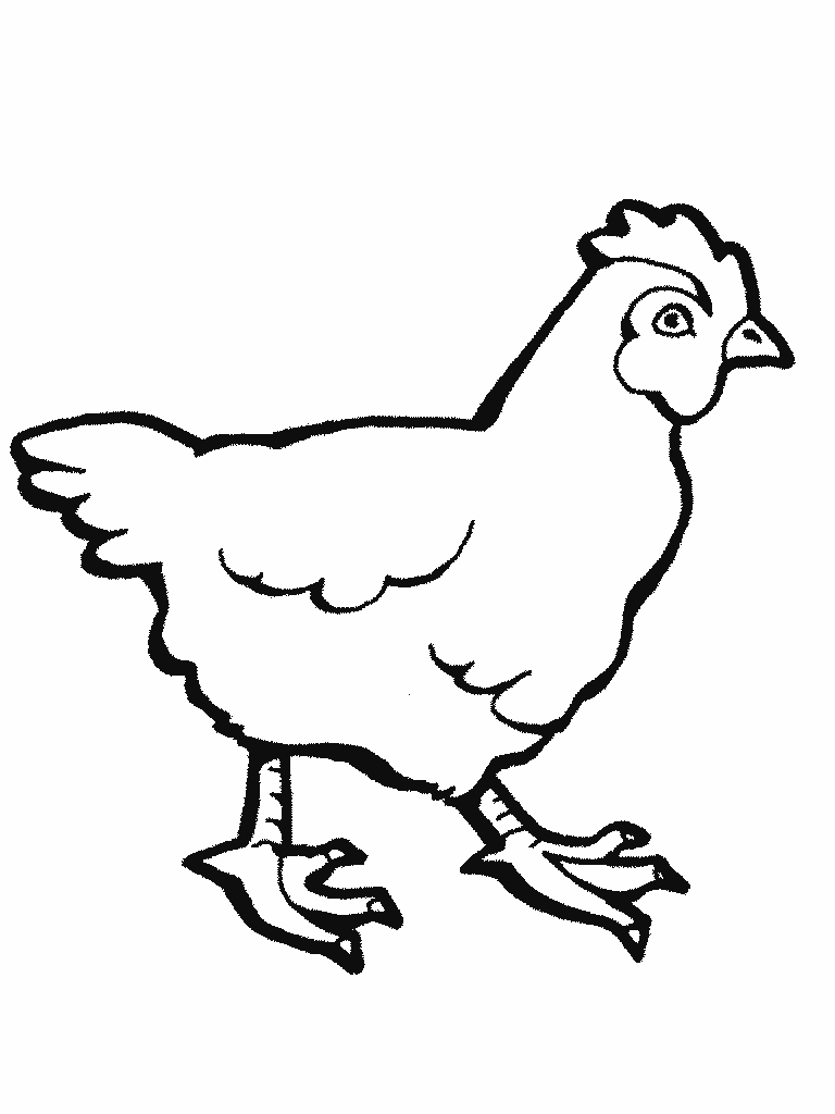 Veranstaltungsbild Tierkunde/ Hühner, Enten, Vögel usw